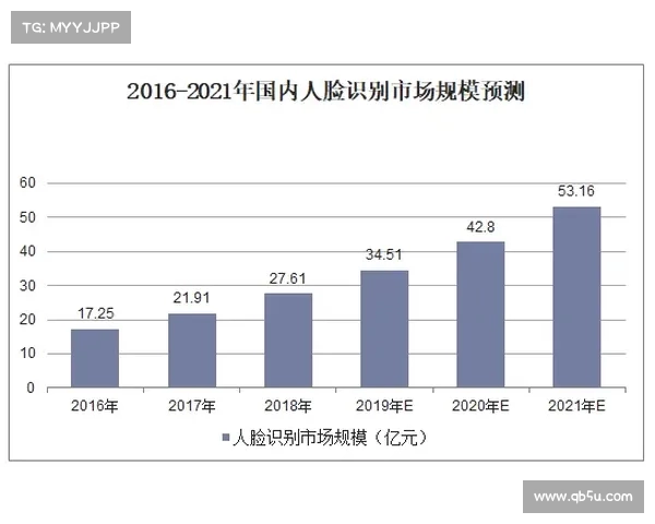 法甲联赛商业价值分析与未来发展潜力探讨